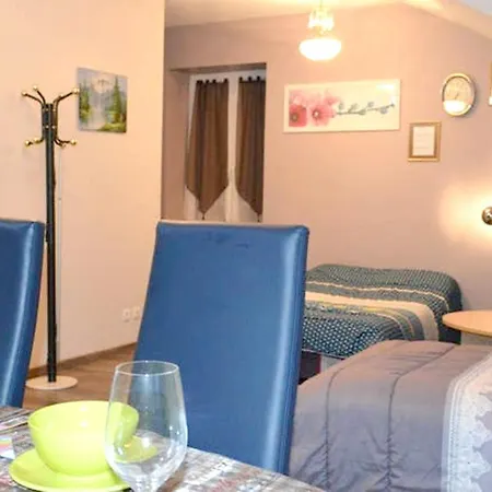 Chaleureux A Avec Parking Prive. Apartment Gérardmer