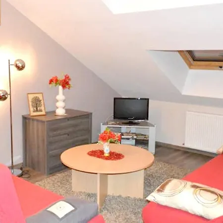 Chaleureux A Avec Parking Prive. * Gerardmer