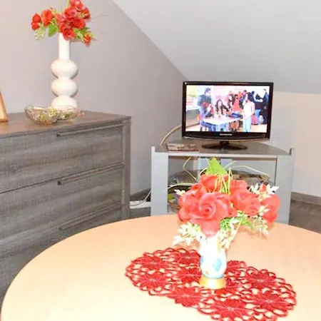 Chaleureux A Avec Parking Prive. Apartment *