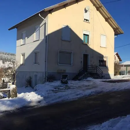 Chaleureux A Avec Parking Prive. Apartment Gérardmer