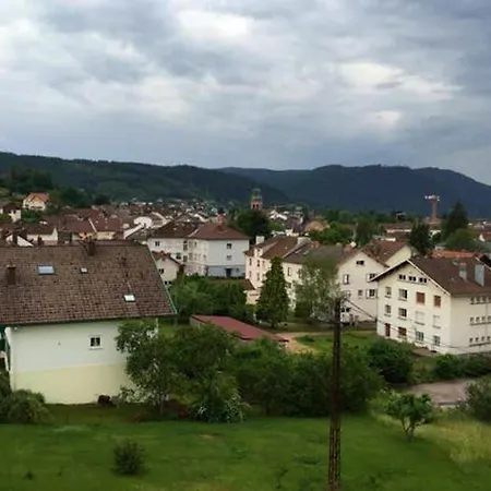 Chaleureux A Avec Parking Prive. Apartment Gérardmer
