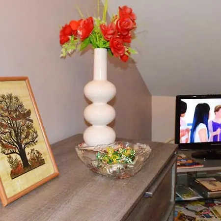 Chaleureux A Avec Parking Prive. * Gérardmer