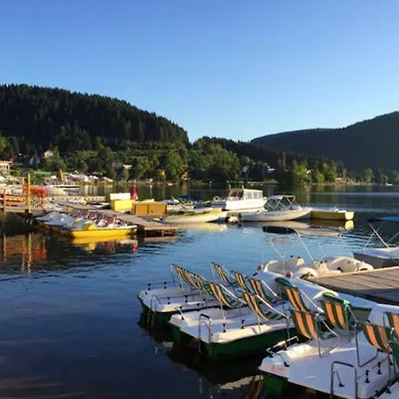 Chaleureux A Avec Parking Prive. Gérardmer