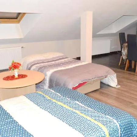 Apartment Chaleureux A Avec Parking Prive. Gerardmer