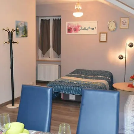 Appartement D'une Avec Wifi A Gérardmer
