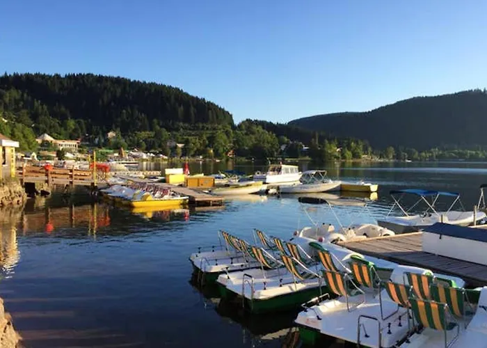 Chaleureux à Avec Parking Privé. Gérardmer